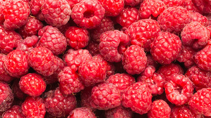 Tasty red raspberry background.