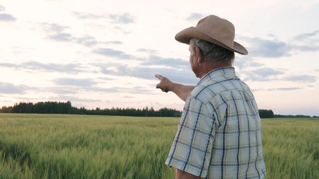 A Farmer In A Hat Stands In A Field Pointing At The Object With His Finger