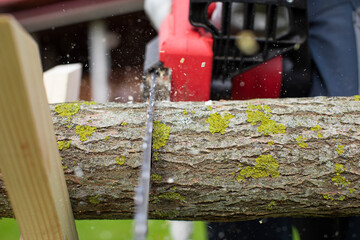 Chainsaw in action cutting wood. Man cutting tree trunk into logs with saw. Chainsaw in motion....