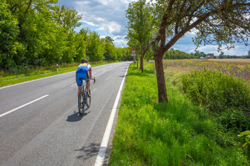 Fototapeta premium Grünes Brandenburg Landstraße Radsport Rad Fahren Frühlingswetter Landstraße training trainieren rennrad radrennen Brandenburger Sport Freizeit Urlaub in Brandenburg Barnim Brandenburger Landschaft