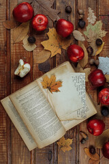 Autumn still life with red apples and nuts on an old iron background. The view from the top.