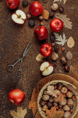 Autumn still life with red apples and nuts on an old iron background. The view from the top.