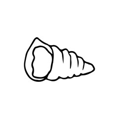 Spiral sea shell drawn by hand in doodle style. Shell Line Icon On White Background. Coloring.