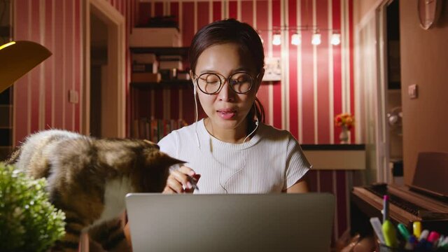 Asian businesswoman work from home at night overtime with pet(cat) interruption, video call conference or virtual meeting on laptop computer