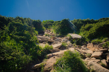 rock in the mountains