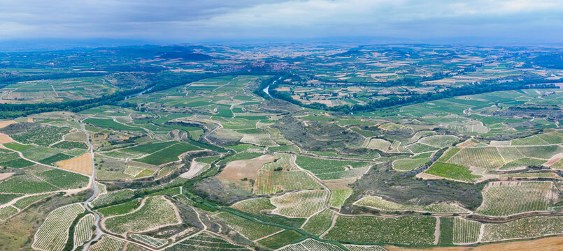 Vineyard landscape in summer from a drone. San Vicente de la Sonsierra. Autonomous Community of La Rioja. Spain. Europe