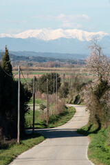 rural road with snowy mountain in the background