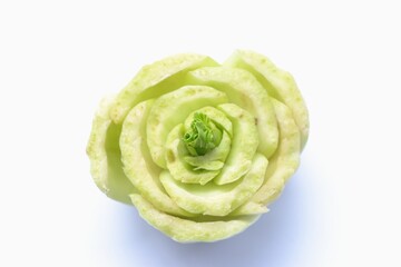 Turnip of Bok Choi, chinese cabbage isolated on a white background.