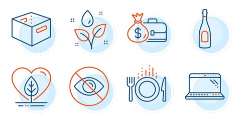 Plants watering, Office box and Local grown signs. Champagne, Laptop and Not looking line icons set. Food, Salary symbols. Celebration drink, Computer. Business set. Outline icons set. Vector