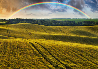 Scenic view of rainbow over green field
