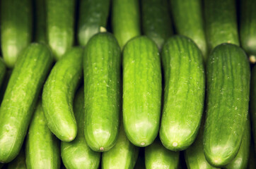 Close-up of cucumbers