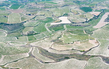 Fototapeta premium Vineyard landscape in summer from a drone. San Vicente de la Sonsierra. Autonomous Community of La Rioja. Spain. Europe