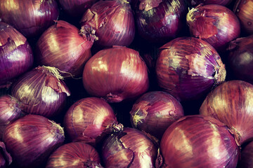 Close-up of red onion on display in market