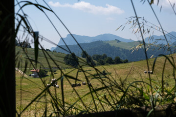 Paesaggio di montagna vicino Brentonico