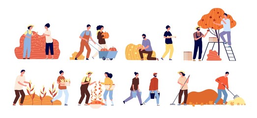 Autumn harvest. Fruit vegetable garden. Season agriculture scenes, flat workers and crop. Woman farmer, people working vector illustration. Agriculture farm, gardening and fall, gather crop