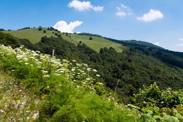 Fototapeta na wymiar Paesaggio di montagna vicino Brentonico