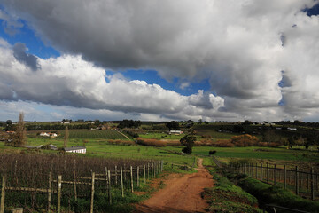 Fototapeta na wymiar Peaceful Devon Valley farming landscape