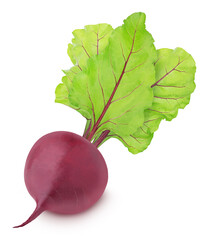 Fresh whole beet with leaves isolated on a white background.