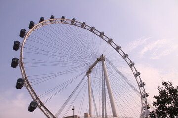 ferris wheel in the park