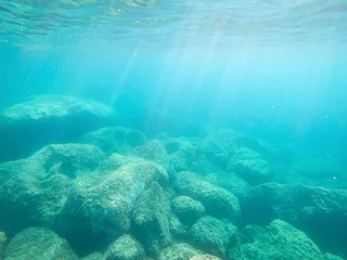 Foto op Aluminium Green rocks underwater in Alghero shore © Gabriele Maltinti