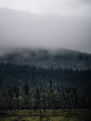 misty morning in the mountains of lapland
