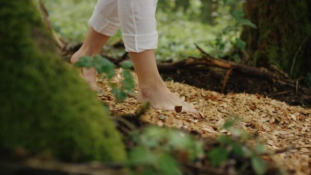 feet of a woman walking on a barefoot path in the woods on a summer day 4K ProRes Footage