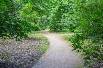 Fototapeta na wymiar A path for pedestrians to walk in a modern green city park in the summer daytime
