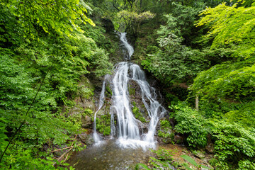 Obraz premium 日の出町初夏の白岩の滝