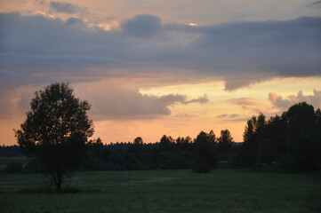 Fototapeta na wymiar Sunset on the field