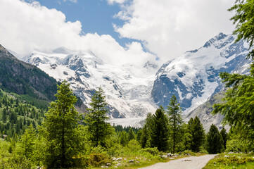 Obraz premium Morteratsch, Morteratschgletscher, Gletscher, Gletscherpfad, Gletscherweg, Piz Bernina, Bellavista, Bernina, Berninatal, Berninapass, Engadin, Alpen, Graubünden, Sommer, Schweiz