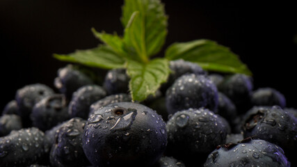 Close up macro view of  fresh blueberries with dew and leaves of mint on black background. Fresh