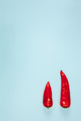 Red pepper on a blue background. The view from the top.
