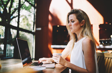 Portrait of charming Sweden woman holding cup of coffee while concentrated reading text on net-book, young attractive female freelancer work on laptop computer during morning breakfast in modern cafe
