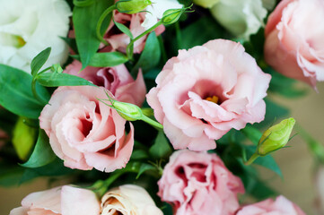 Beautiful pink eustoma flower (lisianthus) in full bloom with green leaves.