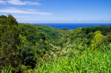 Panoramic view of beautiful scenic landscape over evergreen lush rainforest or jungle vegetation...