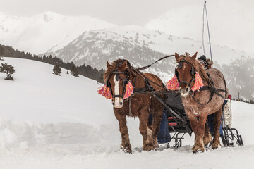 Dos caballos tirando de un carruaje en un paisaje nevado, en un camino de nieve en una estación de esquí. © Gregorio