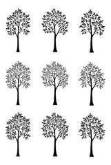 Set Symbolic Trees Outline Black Silhouettes Isolated on White Background