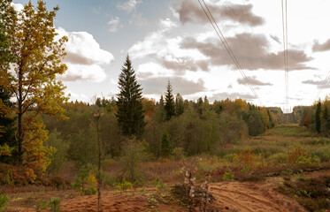 autumn forest in the mountains