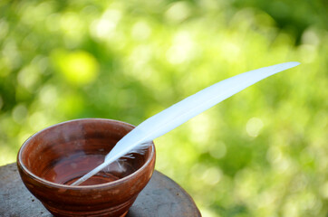 bird's white wing with wooden bowl.