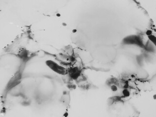 Alcohol Ink Floral Print. Ink Paint Abstract. 