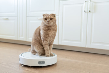 Funny cat sitting on a robot vacuum cleaner. Pet friendly smart vacuum cleaner. Housekeeping help,...