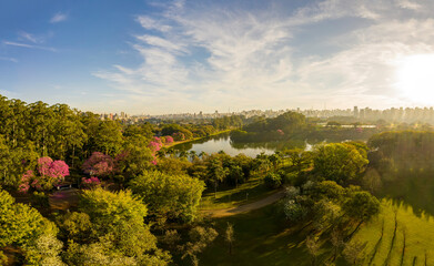 Fototapeta na wymiar Fotos aereas de parques na cidade de São Paulo