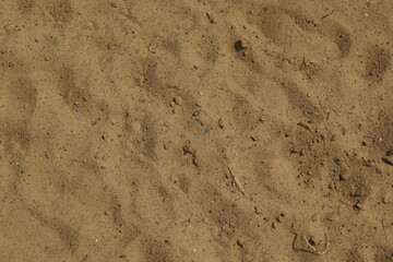 texture of sand
