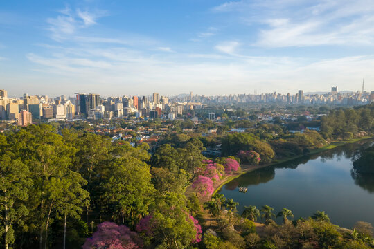 Fotos a&eacute;reas de parques em S&atilde;o Paulo, contraste da Natureza e o asfalto