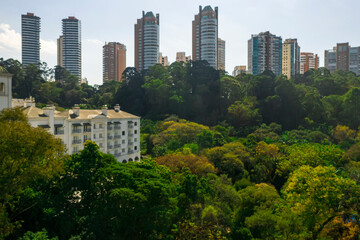 Fototapeta premium Fotos aéreas de parques em São Paulo, contraste da Natureza e o asfalto