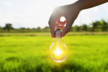 light bulb on hand with sunshine. concept power energy in nature