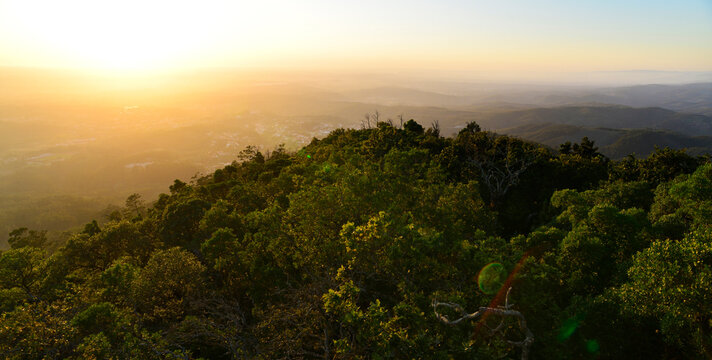 Sunset at Bussaco, Central Portugal
