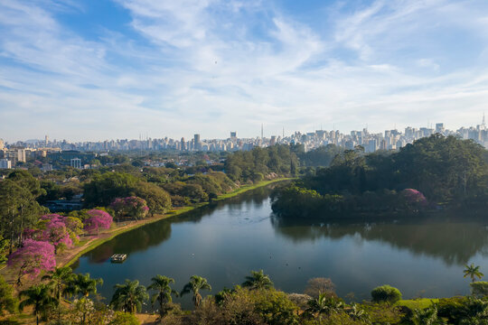 Fotos a&eacute;reas de parques em S&atilde;o Paulo, contraste da Natureza e o asfalto