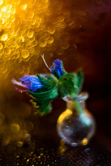 macro close-up glass of water and orange