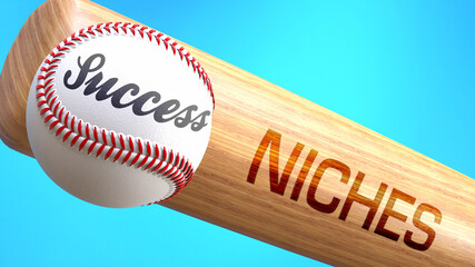 Success in life depends on niches - pictured as word niches on a bat, to show that niches is crucial for successful business or life., 3d illustration